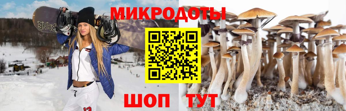 Галлюциногенные грибы мухоморы  Малгобек 