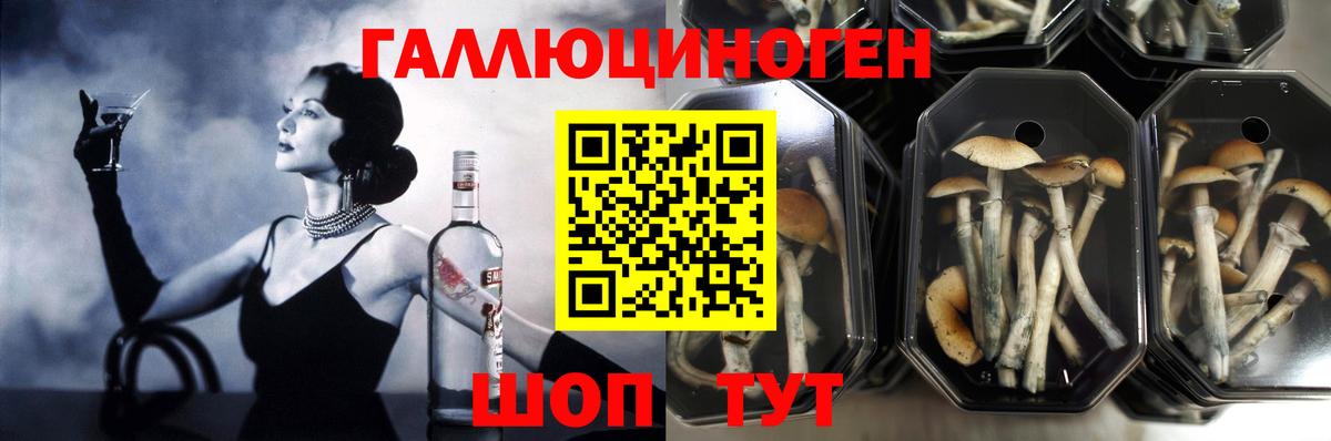Псилоцибиновые грибы MAGIC MUSHROOMS Малгобек