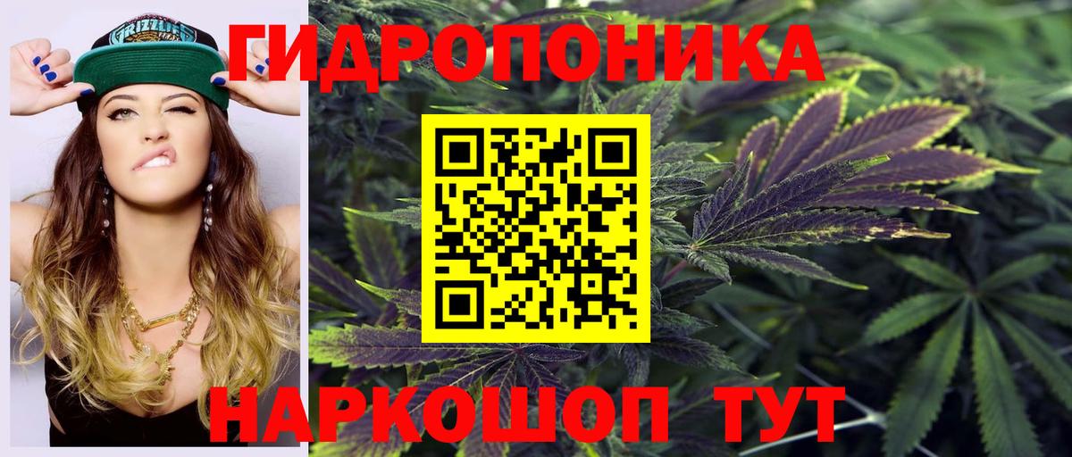 Бошки марихуана план  Конопля VHQ  Малгобек  Вход с VPN  Конопля MAZAR 