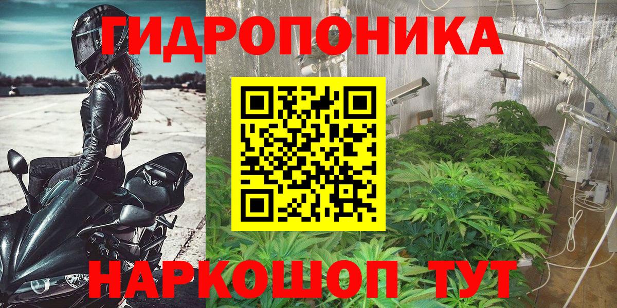 Бошки Шишки планчик Малгобек